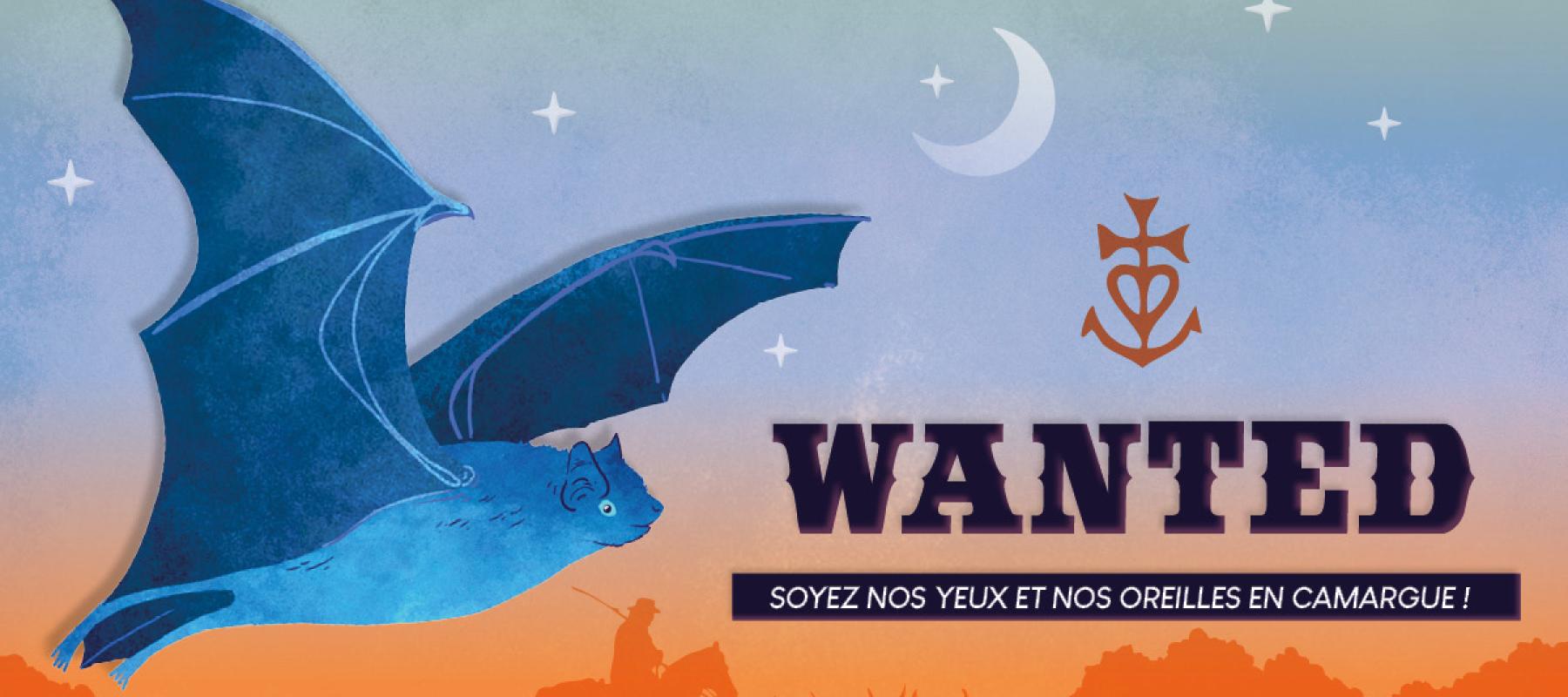 banderolle enquête Rest-chir'eau