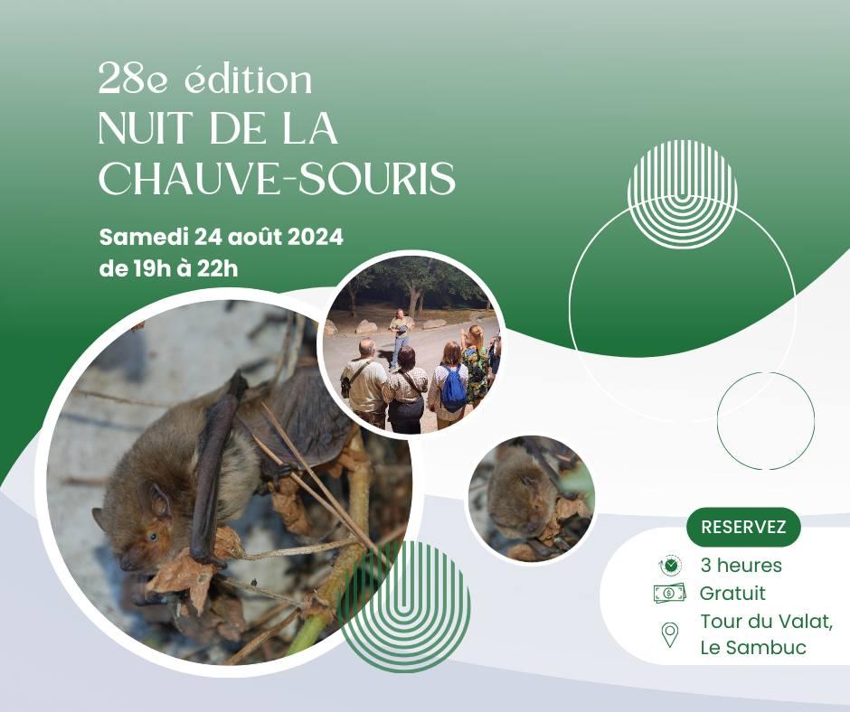 Nuit de la chauve-souris 2024